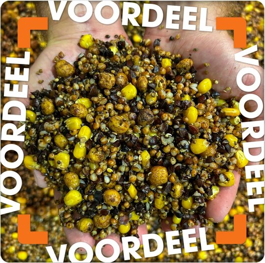 Partikel Kook Deal