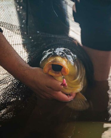 Carp Ready Rigs Fluoro D Rigs Fox