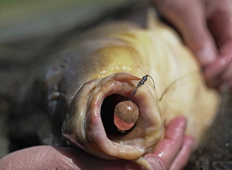 Tungsten Kickers Pole Position