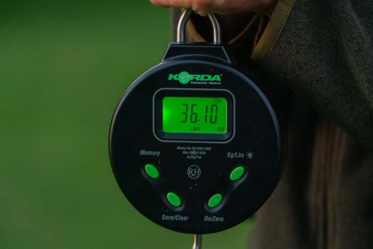 Digital Scale 132LB/60KG Korda