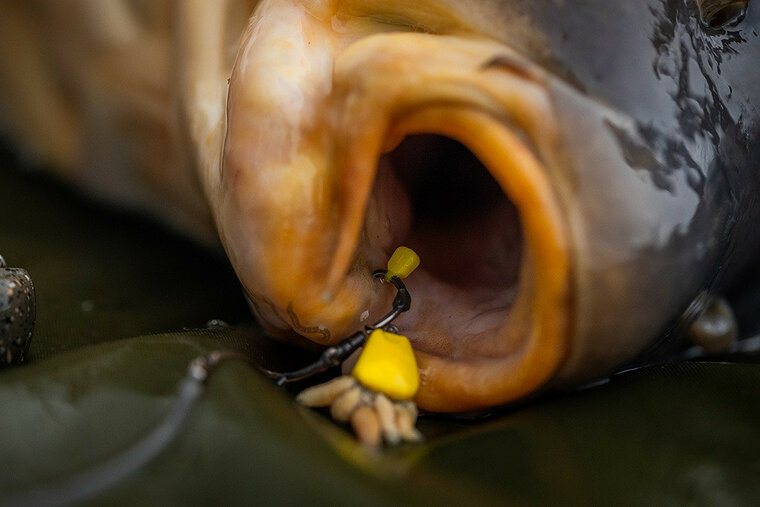 Tungsta Corn Shot Pole Position 