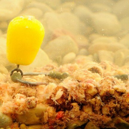 Fake Food I.B. Flavour Korda