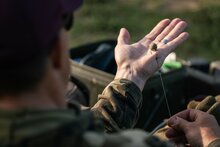 Klor Ready Tied Rigs Korda Karper Onderlijn
