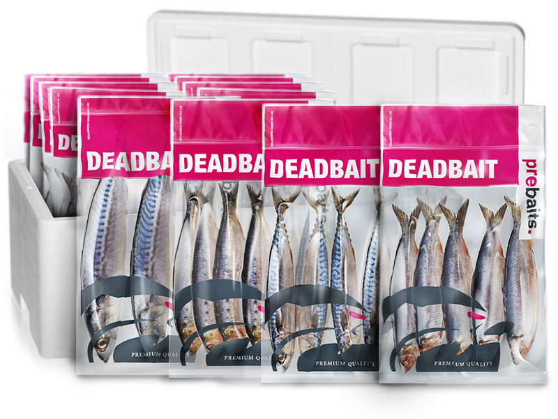 Statisch Doodaas Snoekbox Large