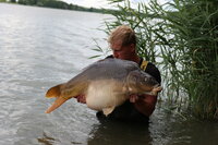 De Mistige Ochtend! De Mistige Ochtend!