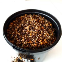 Tijgernoten: gekleurd en ongekleurd. Vers, houdbaar en droog.