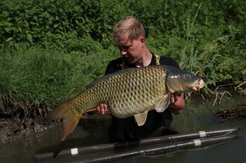 Karpervissen met volle maan!