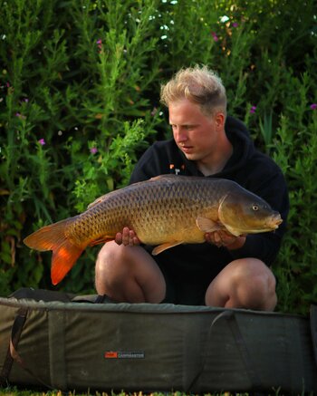 Bob Veerman & korte sessie's